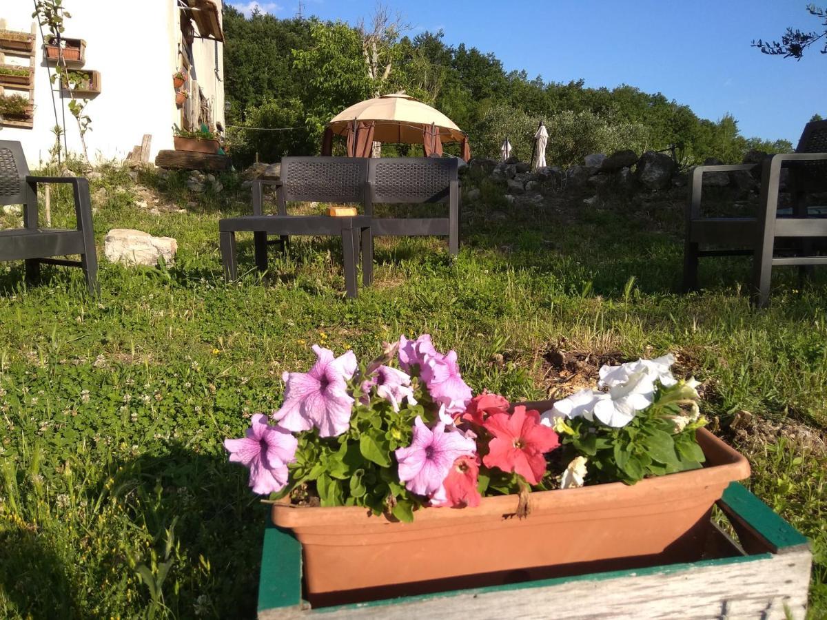 La Masseria Di Antonio E Teresina Colli a Volturno 外观 照片