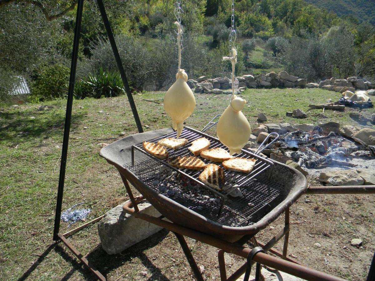 La Masseria Di Antonio E Teresina Colli a Volturno 外观 照片