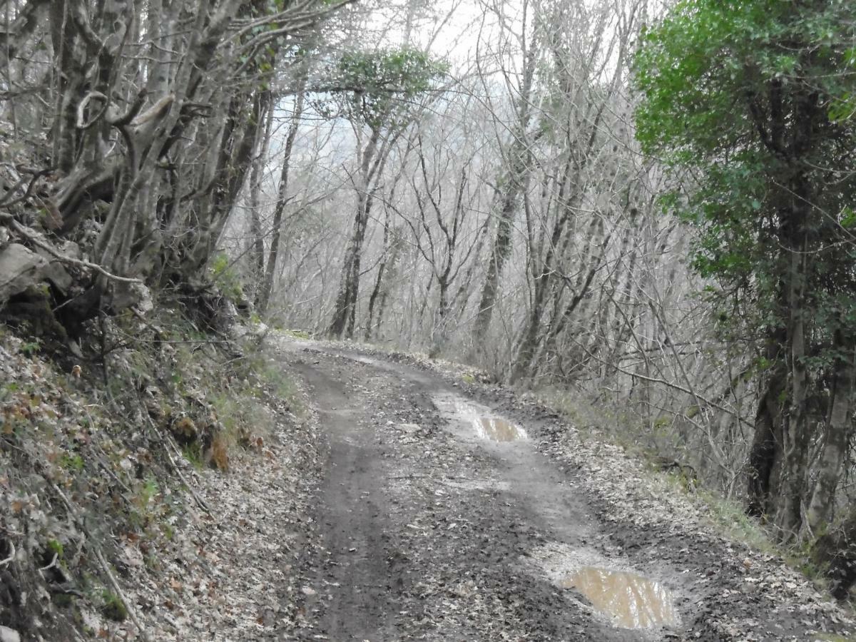 La Masseria Di Antonio E Teresina Colli a Volturno 外观 照片