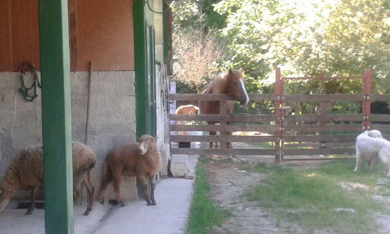 La Masseria Di Antonio E Teresina Colli a Volturno 外观 照片
