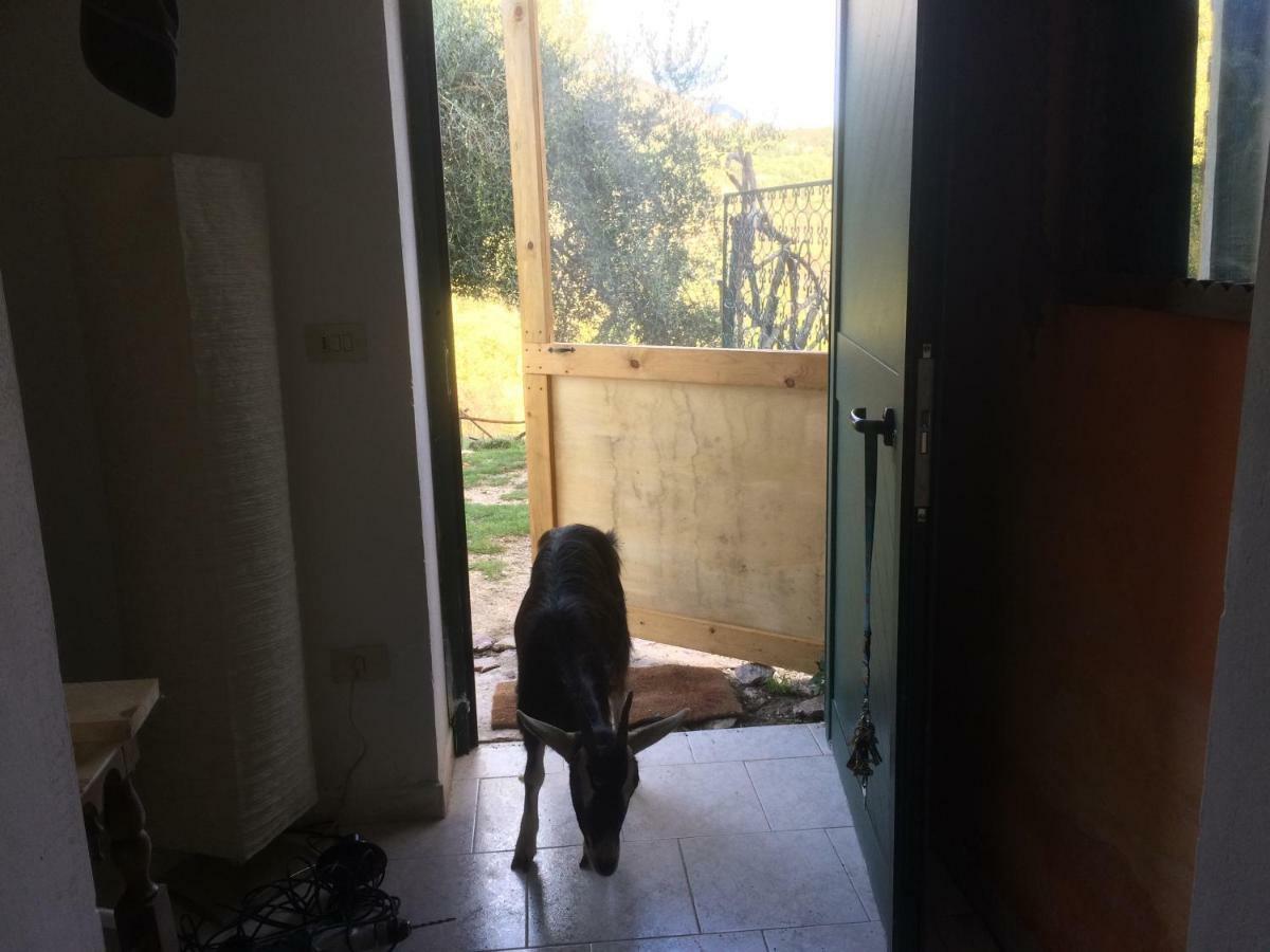 La Masseria Di Antonio E Teresina Colli a Volturno 外观 照片