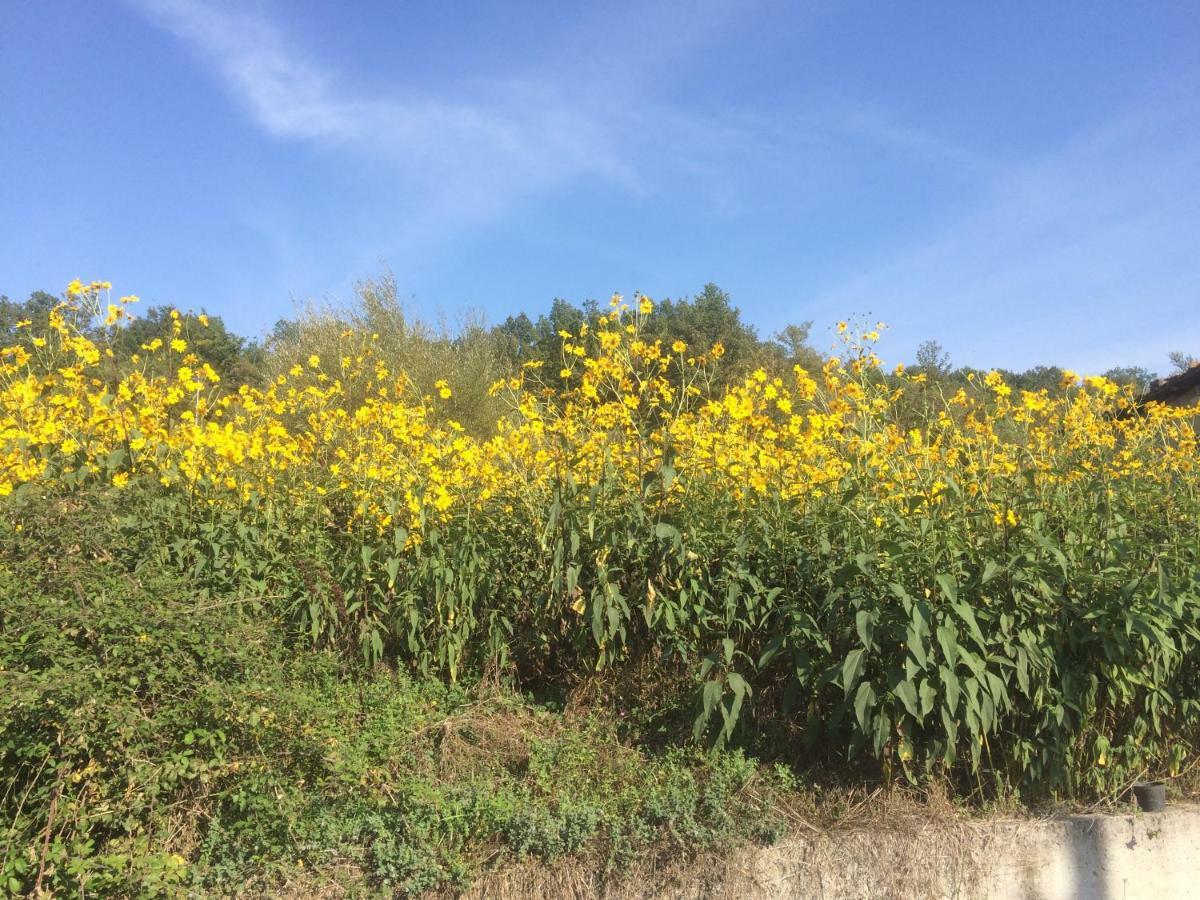La Masseria Di Antonio E Teresina Colli a Volturno 外观 照片